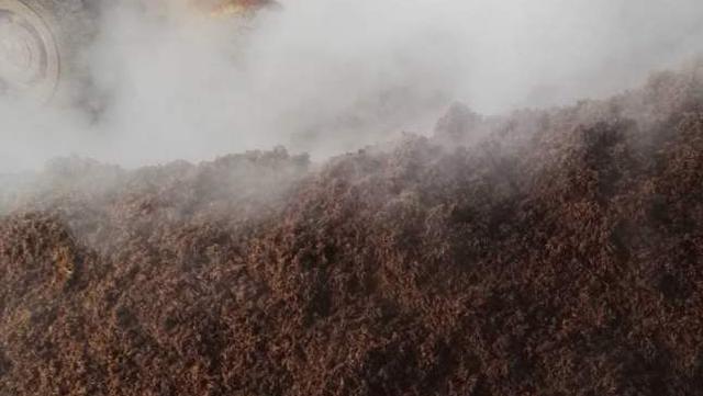 1596872491364749.jpeg d8f9d72a6059252debd8241b7c50bd3d5ab5b937.jpeg